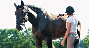 Türkiye Binicilik Federasyonu’ndan 100 yılda bir ilk! Seyislerini sertifikalandırıyor…