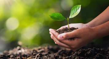 Türkiye Çevre Haftası, Çevre, Şehircilik ve İklim Değişikliği Bakanlığı tarafından 81 ilde etkinliklerle kutlanıyor! 10 milyon vatandaşa sıfır atık çantası