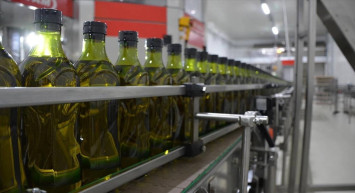Türkiye zeytinyağı ihracatında coştu: 201 milyon dolar gelir elde edildi