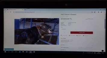 Türkiye'de bir ilk: Dijital Kurban Pazarı! Geleneksel pazardan dijital platforma...