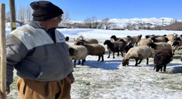 Türkiye’de bulamayınca İran’dan getirdiler: Maaş 40 bin TL!