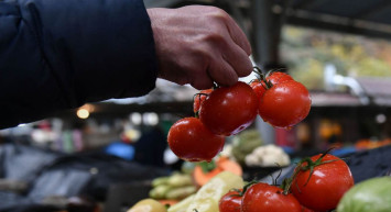 Türkiye’ye ihracat müjdesi: Rusya domates ithalat kotasını artırdı