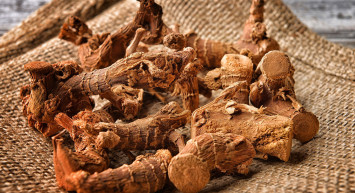 Udi Hindi Faydaları