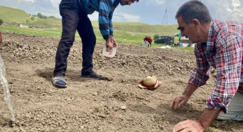 Ürdün'de Kavurucu Sıcaklar Nedeniyle Mahsuller Zarara Uğradı