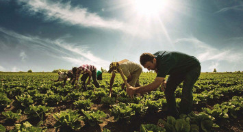 Üreticilere nefes aldıracak! Tarım ve Orman Bakanı Vahit Kirişci müjdeyi verdi: Faizsiz kredi imkanı geliyor!