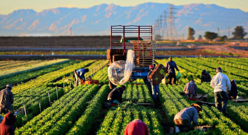 Üreticiye müjdeli haber! 3 önemli destek ve ödeme paketi açıklandı