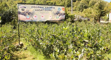 Üretimi İçin AR-GE Çalışması Yapılmıştı: Hasat Zamanı Geldi