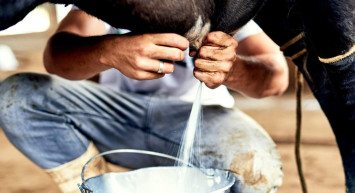 USK yeni fiyatı açıkladı: Süt fiyatına zam geldi