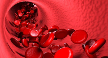 Uzmanlardan dikkat çeken uyarı: O besinler kan pıhtılaşmasına sebep oluyor