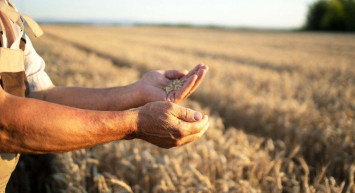 Uzun süredir beklenen gıda krizi sonunda geldi! Sadece 10 haftalık stok kaldı