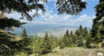 Valilik tarih vererek duyurdu: Ormanlık alanlara girişler yasaklandı