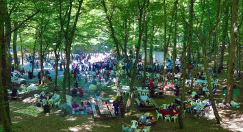 Valilikten açıklama geldiı: Ormanlık alanlara girişler yasaklandı