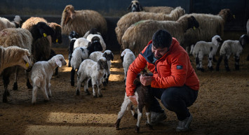 Van’da Genç Girişimciye “Sürü” Desteği Verildi