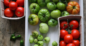Varisi Ortadan Kaldıran Mucize! Yeşil Domates Tedavisi