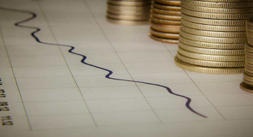 VINU coin nedir? Viral Inu coin projesi ve yol haritası