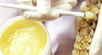 Vücuttaki ölü hücreleri yeniliyor! Kilosu 15 bin TL