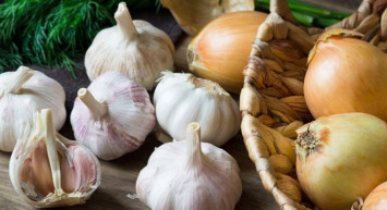 Vücuttaki Toksinleri Atmak İçin Neler Yapılmalıdır?