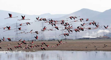 Yağan yoğun yağışlar sulak alanlara yaradı: Bahar yağışlarıyla kuraklık riski kalkacak