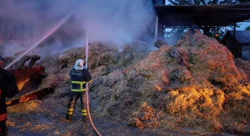 Yalova’da korkutan yangın: Hangarda maddi hasar meydana geldi