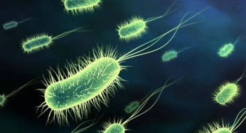 Yaşamın tarihi yeniden yazılabilir: 2.1 milyar yıl öncesine ait fosil keşfedildi