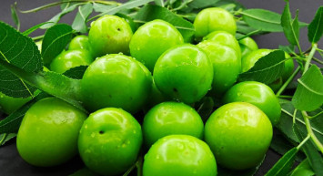 Yaz aylarının vazgeçilmez lezzeti yeşil eriğin hiç bilmediğiniz faydalarını duyunca şok olacaksınız! Bakın yeşil erik hangi hastalıkların şifası