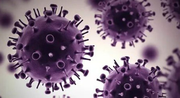 Yeni Bir Salgın Mı Geliyor? Bill Gates Vakfı Yatırım Yapmaya Başladı!