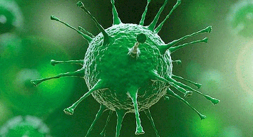 Yeni Koronavirüs Varyantı Eta Japonya’da!