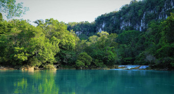 Yeni tedbir alındı: O ormanlara giriş yasaklandı!