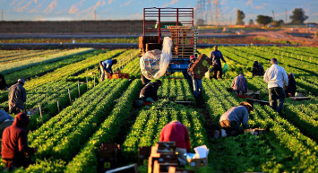 Yeni uygulama ile çiftçinin de, tüketicinin de yüzü gülecek! Kefalet, faiz ve limit yok!