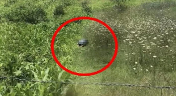 Yeni Yasayla İlk Kez O Yargılanacak! Tarlada Yaptıkları Kan Dondurmuştu