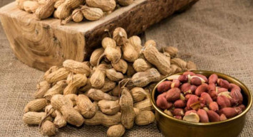 Yer fıstığı zararlı mı, ne kadar yenmeli? Fazla tüketilen yer fıstığının zararları