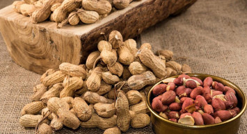 Yer Fıstığının Faydaları Nelerdir?