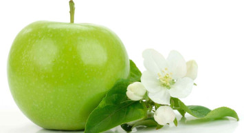 Yeşil elma kaç kalori? Yeşil elma diyet listesinde yer almalı mı? Yeşil elmanın bilimsel faydaları