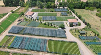 Yeşil Vatan İçin 273 Milyon Fidan Üretimi Yapıldı