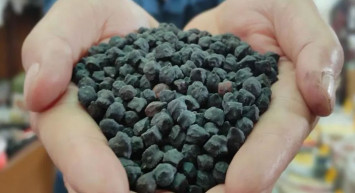 Yiyen bir daha bırakamıyor: Yurt dışından getirdiği tohumla kısa sürede 20 bin lira kazandı