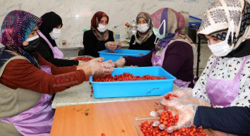 Yozgatlı Kadınlar Hem Üretiyor Hem Bütçelerine Katkı Sağlıyor