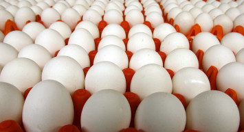 Yumurta ücretleri ne kadar? Yumurta fiyatlarına zam geldi, işte güncel fiyatlar