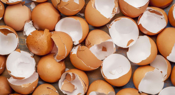 Yumurta kabuğunun insana faydaları nelerdir?
