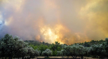 Yunanistan 6 gündür yanıyor: Binlerce kişi tahliye edildi