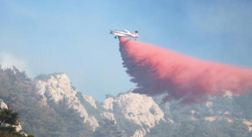 Yüreğimize su serpen haber! Datça'daki orman yangını kontrol altına alındı!