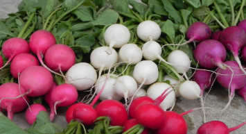 Zatürrenin izlerini kolayca siliyor: Akciğer hastalıklarının en büyük düşmanı