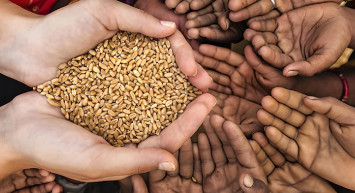 Zekat hangi mallardan verilir? Neyin zekatı ödenmeli?