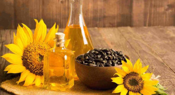 Zeytinyağı ve ayçiçeği yağı arasındaki farklar nelerdir? Zeytinyağı ve ayçiçeği yağı ile ilgili ilginç bilgiler