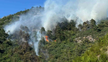 Bursa'da ormana sıçrayan yangın kontrol altına alındı