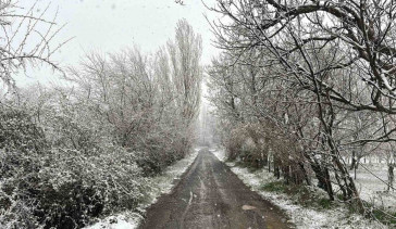 Çay İlçesi Beyaza Büründü: Lapa Lapa Kar Yağışı