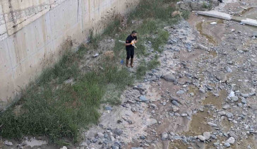 Çorum'da çaya düşen kediyi itfaiye ekipleri kurtardı