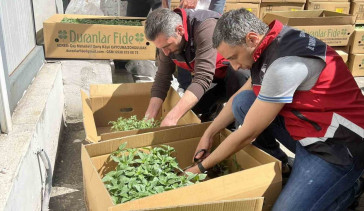 Ereğli'de Tarımsal Üretim Destekleniyor