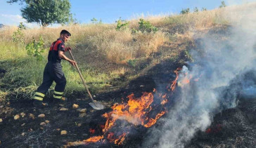 Siirt'te Fıstık ve Üzüm Bağlarına Sıçrayan Yangın