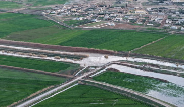 Suriye'nin Rakka Vilayetinde Aşırı Yağışlar Tarım Arazilerini Su Altında Bıraktı