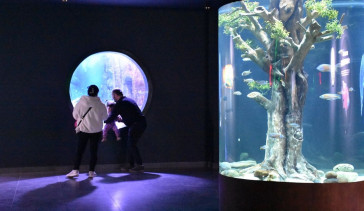 Trabzon Akvaryum 2025'te 215 Bin Ziyaretçiyi Ağırladı